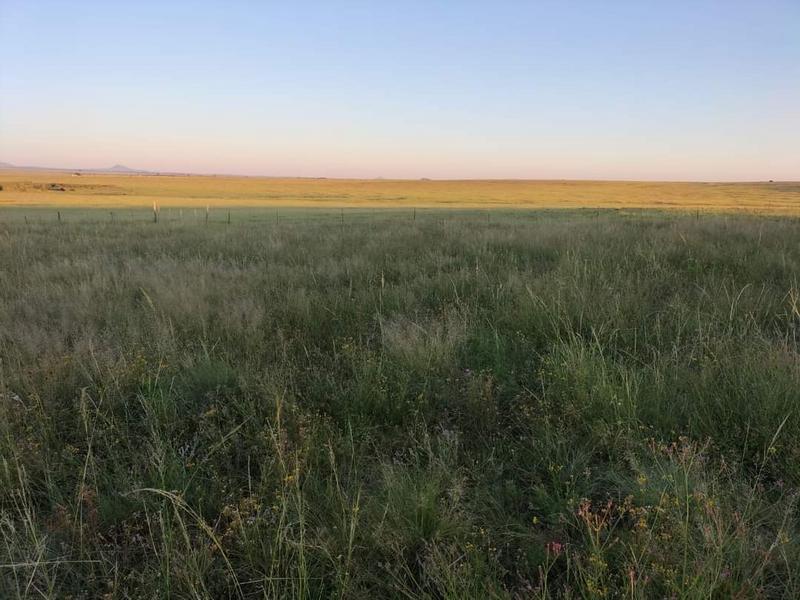 0 Bedroom Property for Sale in Ladybrand Free State